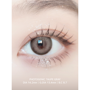 LensVery 1Day – Photogenic Taupe Gray 日拋 10片裝